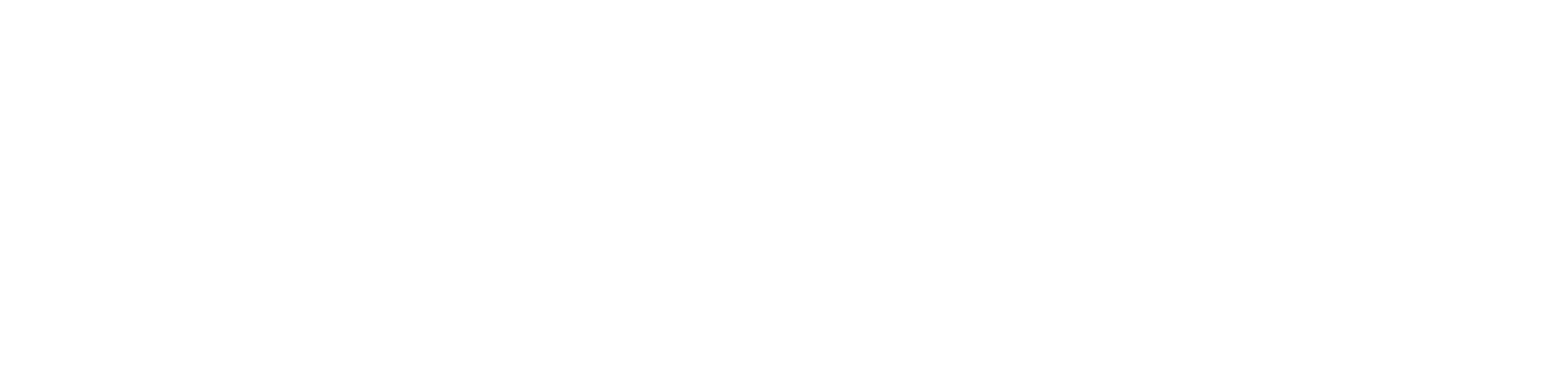 Blazing Bombs Store
